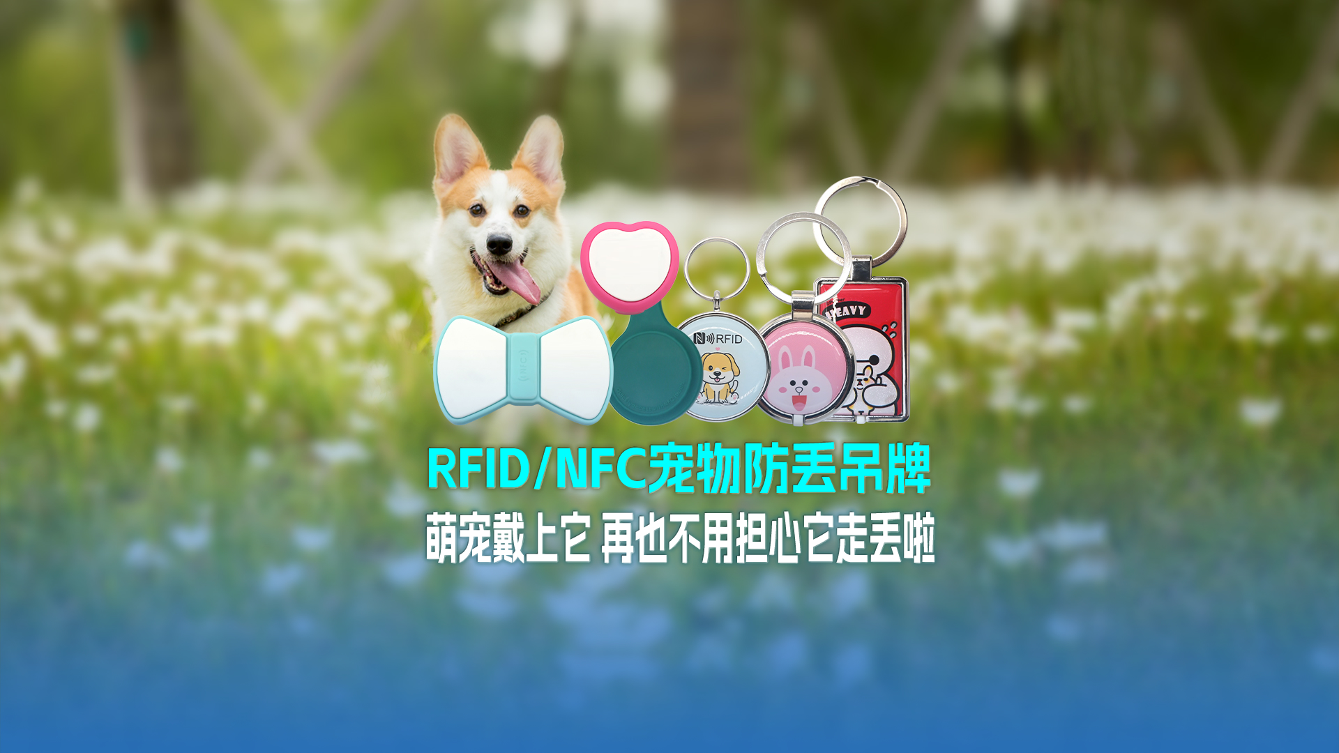 卡立方集團(tuán)RFID寵物防丟吊牌：萌寵戴上它 再也不用擔(dān)心它走丟啦