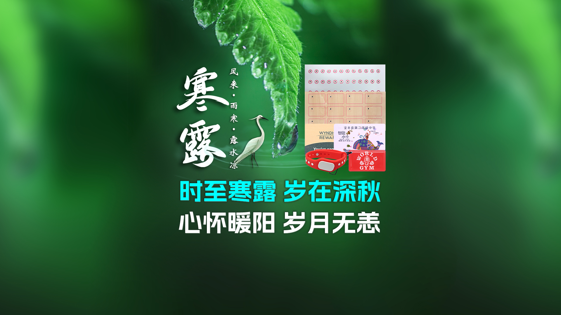 寒露至秋意濃，卡立方集團攜RFID智能卡中料木卡腕帶伴您暖度深秋